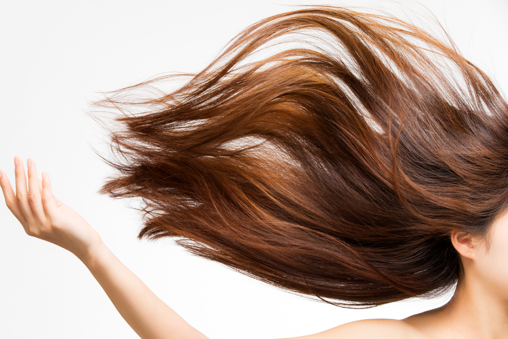 美髪を育てるのは食生活から 髪に良いおすすめの食べ物 藤沢市の美容院bond Hair Design ボンドヘアーデザイン